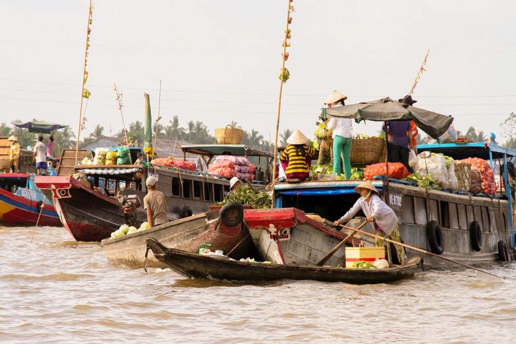 Day 3: Ben Tre - Can Tho (Breakfast)